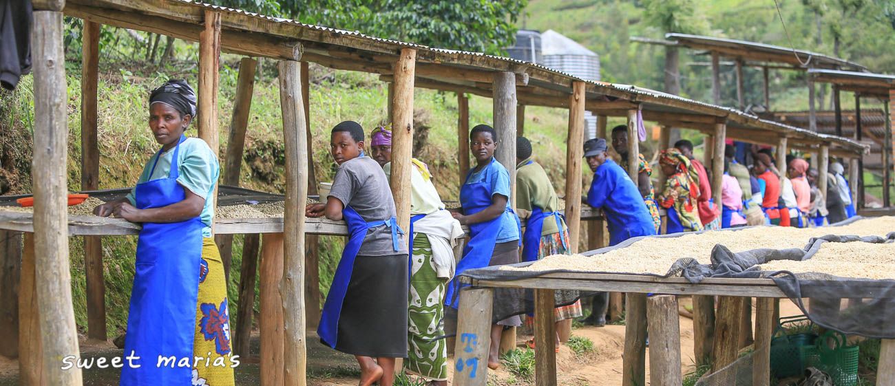 Rwanda Karongi Gitesi